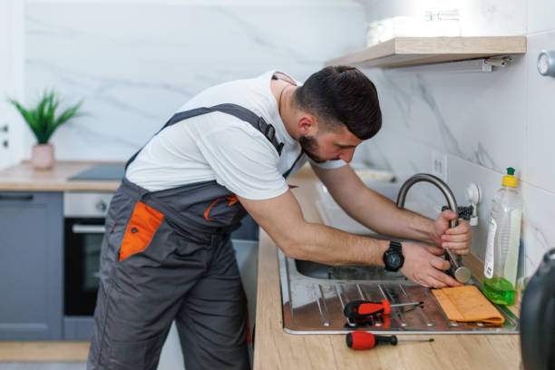  Denmark, SC Plumbing Pros