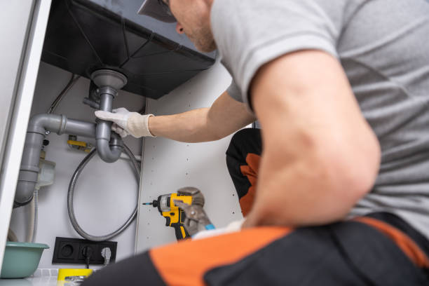 Best Local Plumber Services  in Denmark, SC