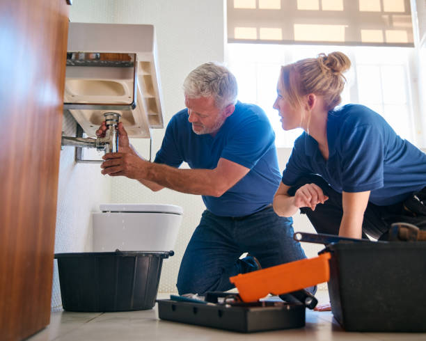 Best Septic Systems  in Denmark, SC